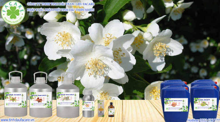 Lợi ích - công dụng của Tinh Dầu Hoa Nhài – Hoa Lài - Jasmine Essential Oil