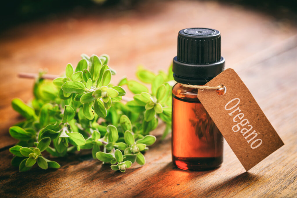 Công Dụng Của Tinh Dầu Kinh giới - Oregano