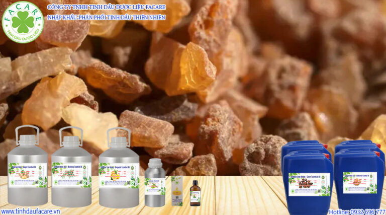 Myrrh Essential Oil là gì? Myrrh Oil còn gọi là tinh dầu nhựa thơm hay mộc dược, có tác dụng chống oxy hóa mạnh và tiềm năng ngăn ngừa và điều trị bệnh ung thư.