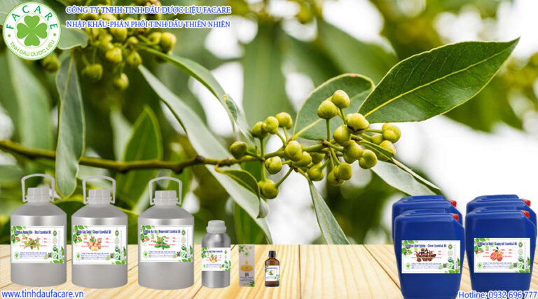 Tinh Dầu Nguyệt quế – Bay Leaf Essential Oil