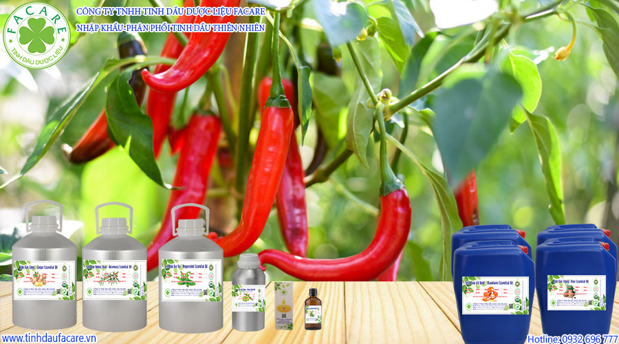 Capsicum Oleoresin là gì? Capsicum Oleoresin có tác dụng ngăn ngừa ung thư, chữa được viêm loét dạ dày, tá tràng, cải thiện các vấn đề mãn kinh, hạn chế nguy cơ mắc các bệnh về tim mạch và tiểu đường. Tinh dầu ớt (Capsicum Oleoresin) còn có tác dụng kháng viêm, giảm đau, cải thiện viêm khớp, điều trị bệnh vảy nến và chống lão hóa da.